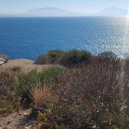 テッラジーニ Mediterraneanヴィラ エクステリア 写真