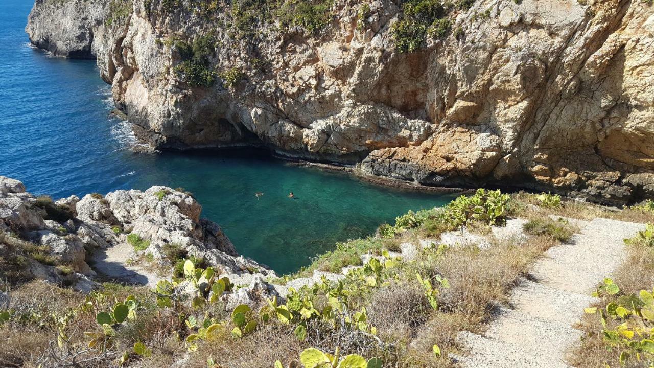 テッラジーニ Mediterraneanヴィラ エクステリア 写真